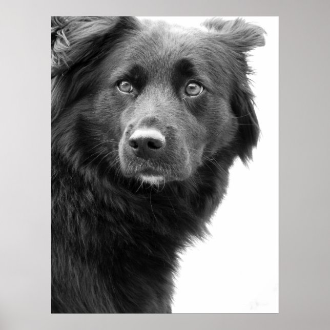 Poster Olhando (Frente)