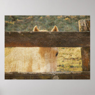 Pôster Olhando através da cerca