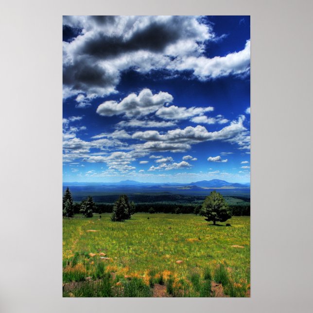 Pôster Olhando para a distância (Frente)