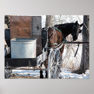 Poster Olhando para trás