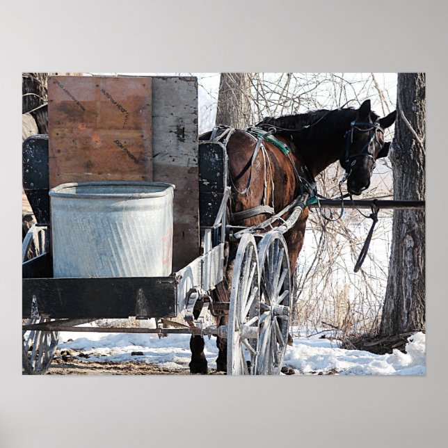 Poster Olhando para trás (Frente)