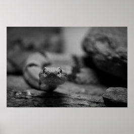 Poster olhando para você