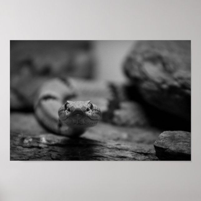 Poster olhando para você (Frente)