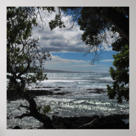 Poster Olhando Pela Janela