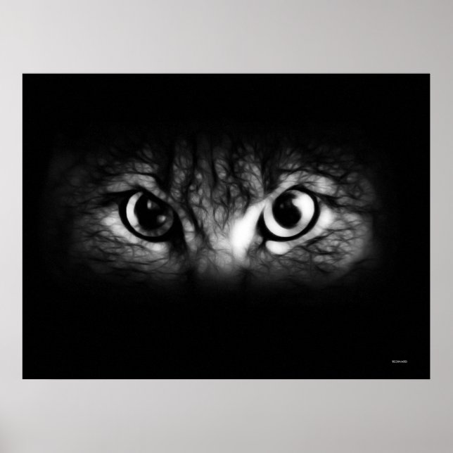 Pôster olhar (Frente)