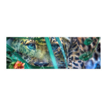 OLHAR DE OLHOS VERDES DO LEOPARDO