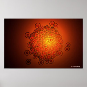 Pôster Olhar magnificamente um óvulo