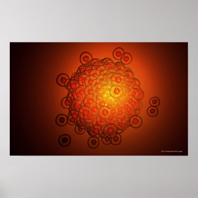 Pôster Olhar magnificamente um óvulo (Frente)