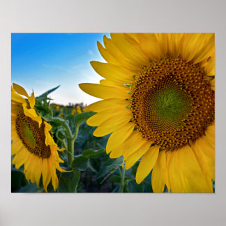 Poster Olhar Mais Perto