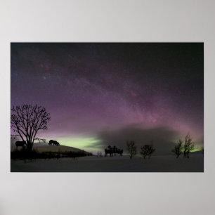 Poster "Olhar para trás. De "poster border collie