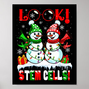 Poster Olhe! Células-Tronco Natal Casal de Bonecos de Nev