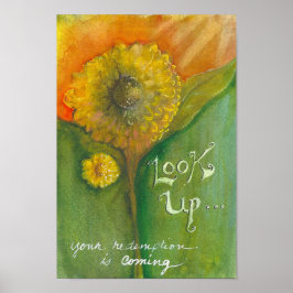 Poster Olhe Para Cima!