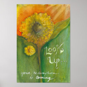 Poster Olhe Para Cima!