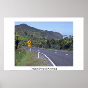 Pôster Olhe para fora para pinguins