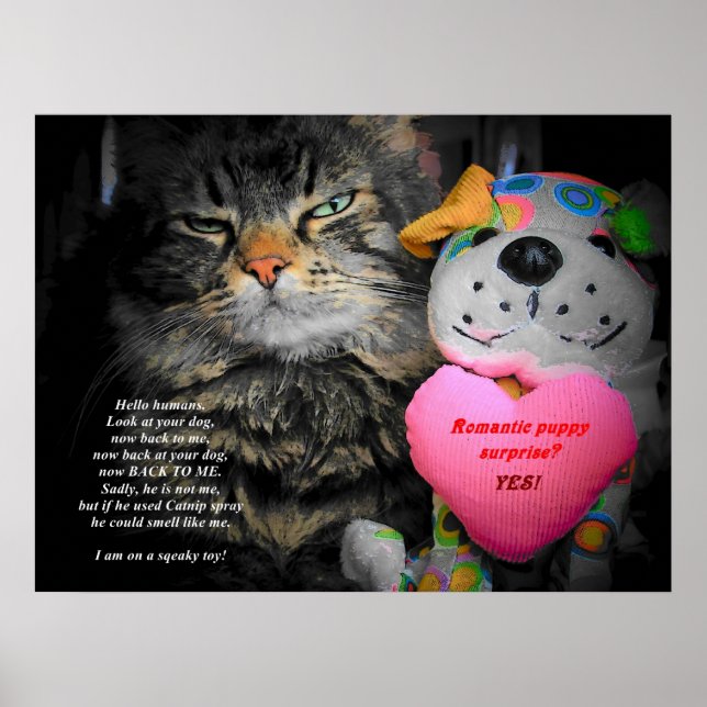 Pôster Olhe seu cachorro agora olhe para mim (Frente)