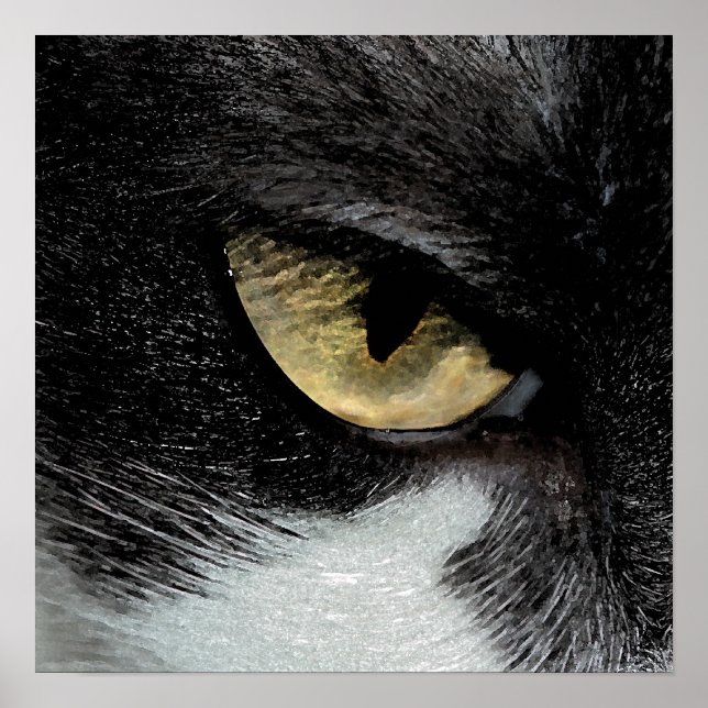 Poster Olho do Tigre (Frente)