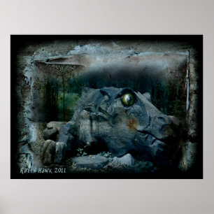 Pôster Olho Dragão