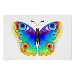 Pôster Olho Peacock da Borboleta Arco-Íris