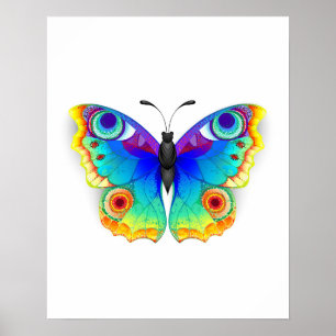 Poster Olho Peacock da Borboleta Arco-Íris