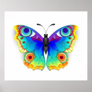 Poster Olho Peacock da Borboleta Arco-Íris