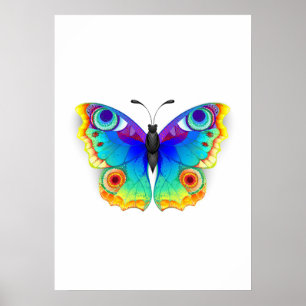 Poster Olho Peacock da Borboleta Arco-Íris