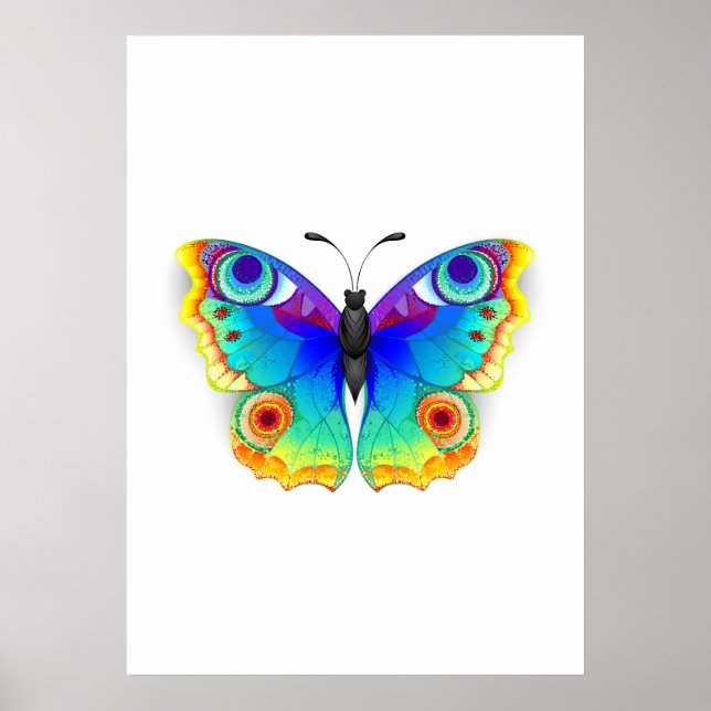 Poster Olho Peacock da Borboleta Arco-Íris (Frente)