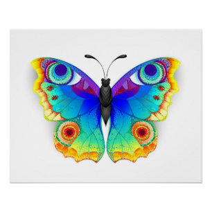Pôster Olho Peacock da Borboleta Arco-Íris