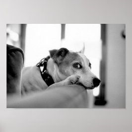 Pôster Olho Sério.