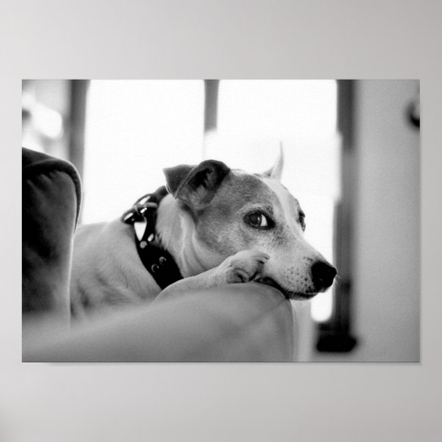 Pôster Olho Sério. (Frente)