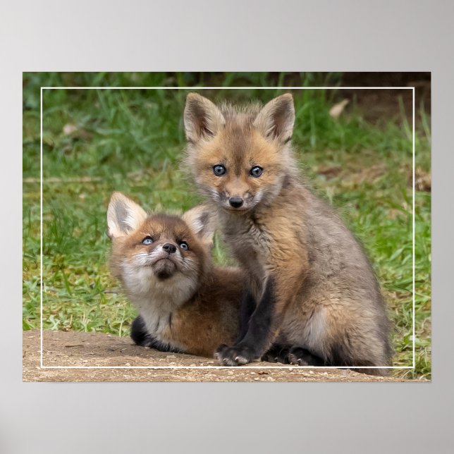 Poster Olhos Amorosos (Frente)