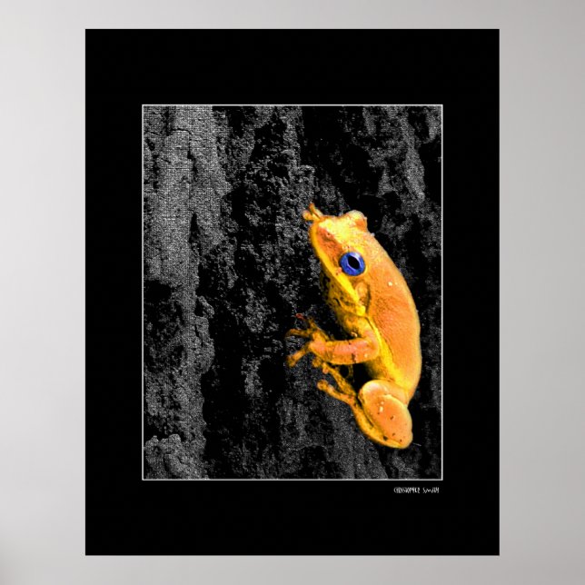 Poster Olhos Azuis (Frente)