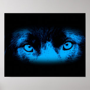 Pôster Olhos De Cachorro Intensos Em Azul