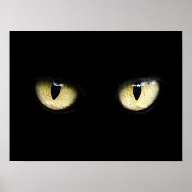 Poster Olhos de Gato (Frente)