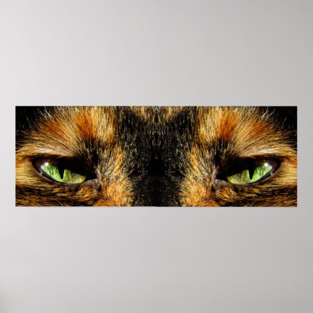 Poster Olhos de Gatos (Frente)