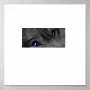 Poster Olhos de lobo