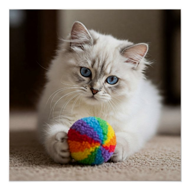 Pôster Olhos de Sapphire e Diversão Colorida (Frente)