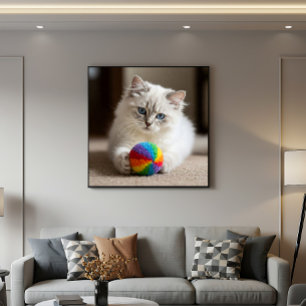 Poster Olhos de Sapphire e Diversão Colorida