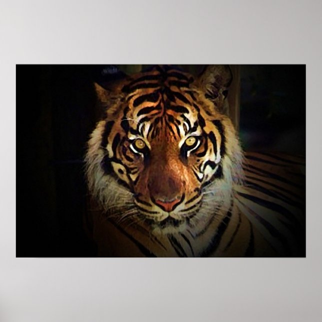 Pôster Olhos de Tigre - Pôsteres de Vida Selvagem (Frente)