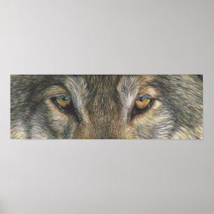 Poster Olhos do lobo