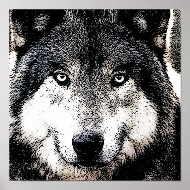 Poster Olhos do Lobo - Trabalho de arte de Animais Selvag (Frente)