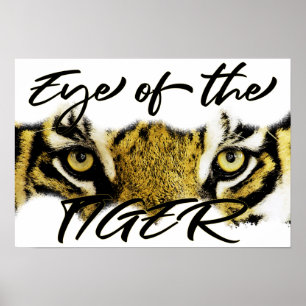 Poster Olhos do tigre, tigre, motivação, inspiração