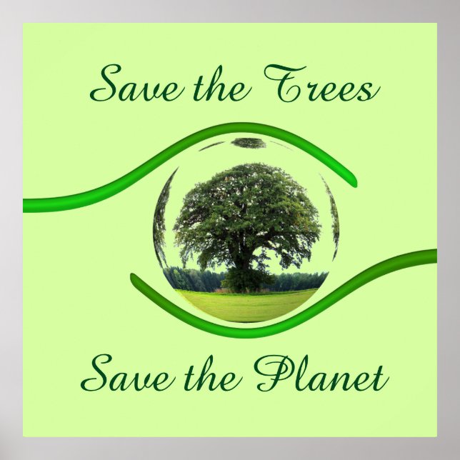 Pôster Olhos em Ecologia (Frente)