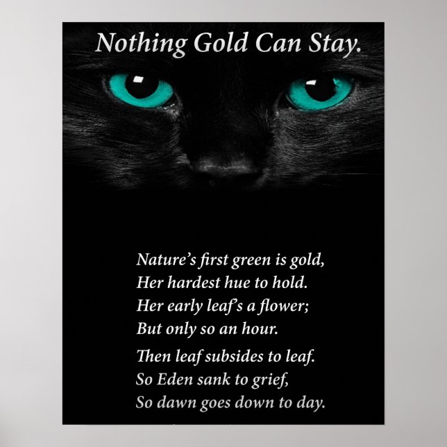 Pôster Olhos Fixos (Frente)