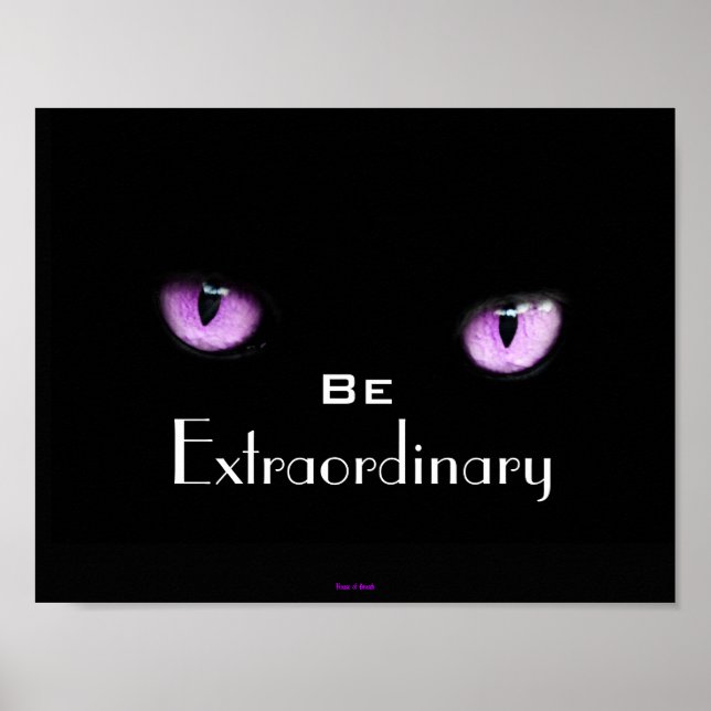 Poster Olhos Inspiracionais legal e Motivacionais de Gato (Frente)