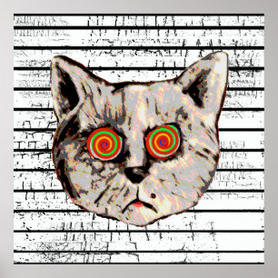 Pôster olhos loucos engraçados da espiral do gato
