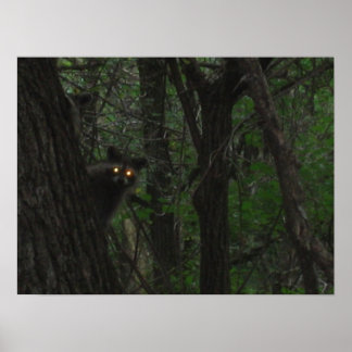 Pôster Olhos Noturnos