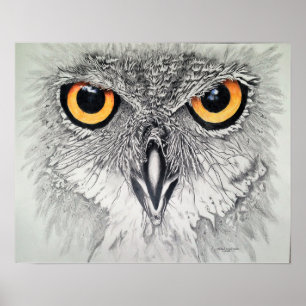 Pôster Olhos observadores