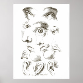 Poster Olhos, Perfil, Desenho de Ouvidos, século XVII, sa