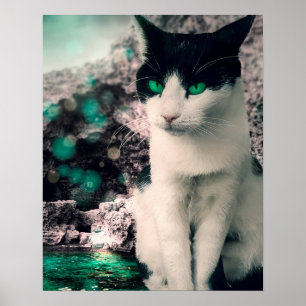Poster Olhos Verdes De Gato Preto E Branco Sentados Por V