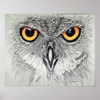 Pôster Olhos Vigiosos